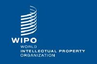  V  Международная научно-практическая конференция  «Правовая охрана и защита прав интеллектуальной собственности: история, теория, практика»