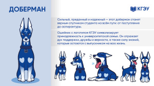 Голосуем за маскота: пять финалистов конкурса КГЭУ