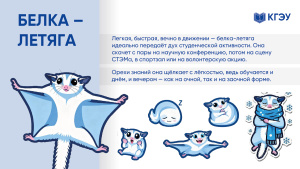 Голосуем за маскота: пять финалистов конкурса КГЭУ