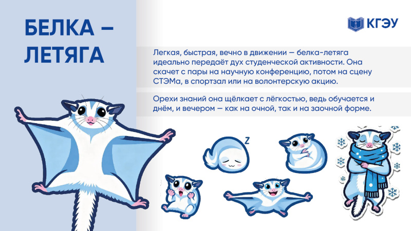 Голосуем за маскота: пять финалистов конкурса КГЭУ