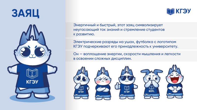 Голосуем за маскота: пять финалистов конкурса КГЭУ