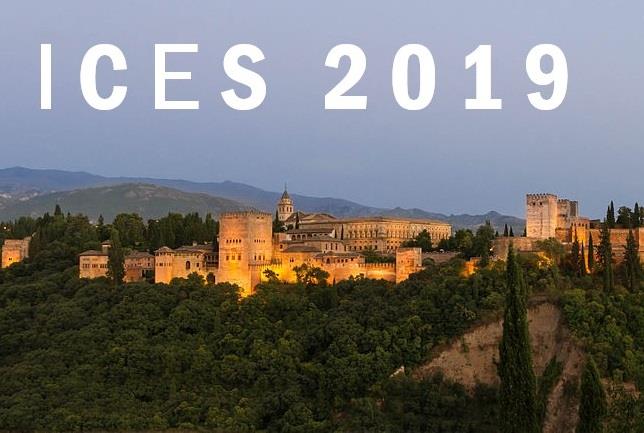 IV Международная научно–техническая конференция «Энергетические системы (ICES-2019)