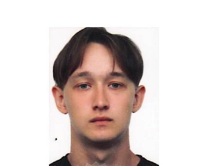 Шавалеев Булат Дамирович