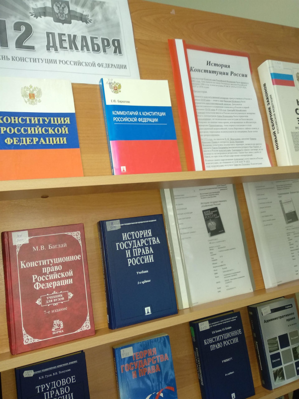 10 ДЕКАБРЯ ДЕНЬ ПРАВ ЧЕЛОВЕКА, 12 ДЕКАБРЯ ДЕНЬ КОНСТИТУЦИИ РОССИЙСКОЙ ФЕДЕРАЦИИ