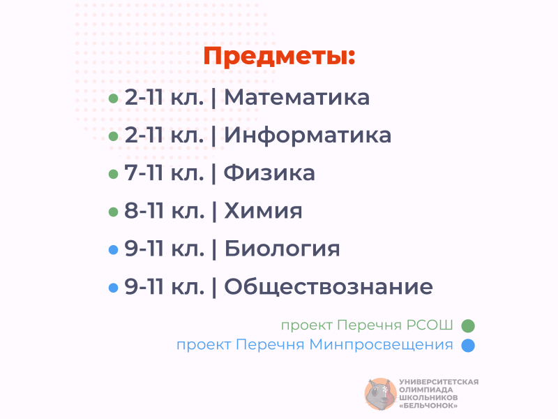 Стартовал отборочный этап университетской олимпиады школьников «Бельчонок»