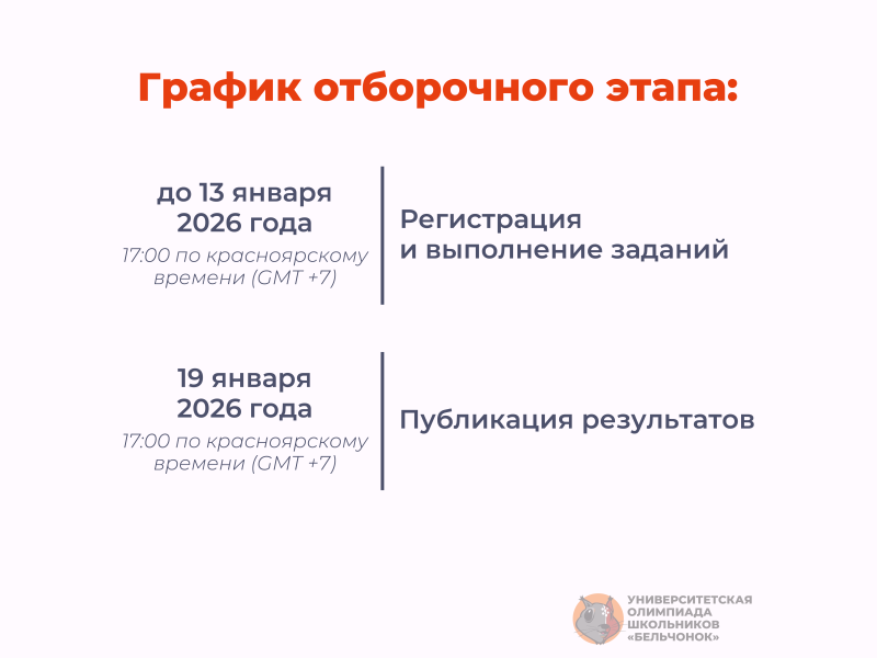 Стартовал отборочный этап университетской олимпиады школьников «Бельчонок»